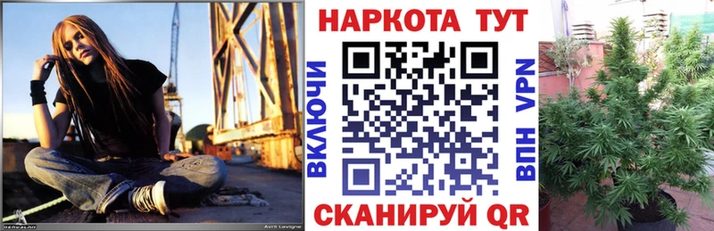 Наркота Правдинск Галлюциногенные грибы  СК  blacksprut ССЫЛКА  Гашиш  Меф 