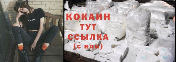 спиды Горно-Алтайск