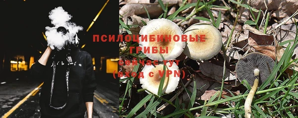 дурь Горняк