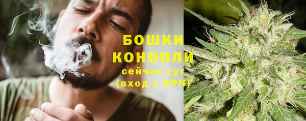 спиды Горно-Алтайск